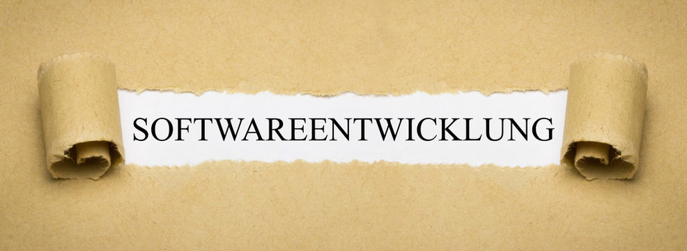 Softwareentwicklung