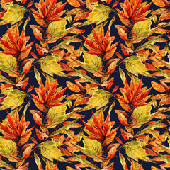 Watercolor illustration.Beautiful autumn, different autumn leaves. Background white. Postcard for you, handmade, set,seamless pattern,dark  background