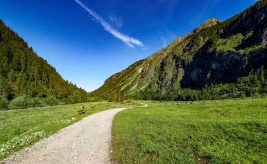 Fototapeta na wymiar Oberstdorf Berge Alpen Panorama Wandern