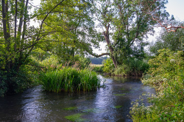 Fototapeta na wymiar River Whitewater at Bramshill England