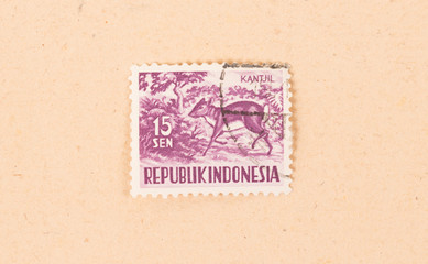 INDONESIA - CIRCA 1950: A stamp printed in Indonesia shows a Kantjil, circa 1950