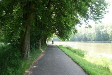 Obraz premium Quality new asphalt cycle paths. Labe River in the Czech Republic. Cycling concept. Elbe radweg. Labska cyklostezka.