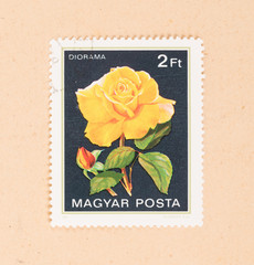 HUNGARY  - CIRCA 1980: A stamp printed in Hungary shows a flower (Diorama), circa 1980