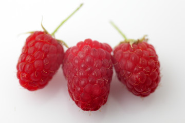 Raspberry on white background macro
