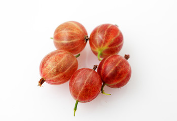gooseberry on white background macro