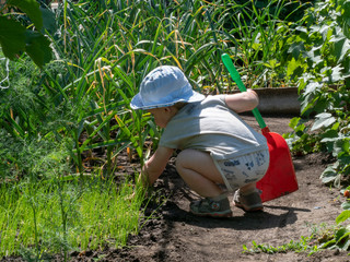 A little boy is busy in the garden    Cute boy playing in the garden exploring the world