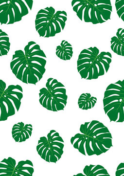 Tropical seamless pattern with bright monstera leaves. © Ina