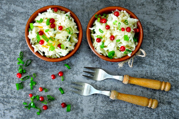 Sauerkraut. Fermented products for health. Sauerkraut with cranberries and spring onions. Probiotics.