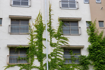 Obraz premium 武里団地 埼玉県春日部市