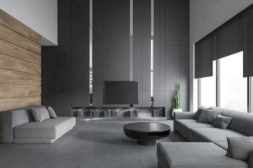 Living room interior with sofas and TV