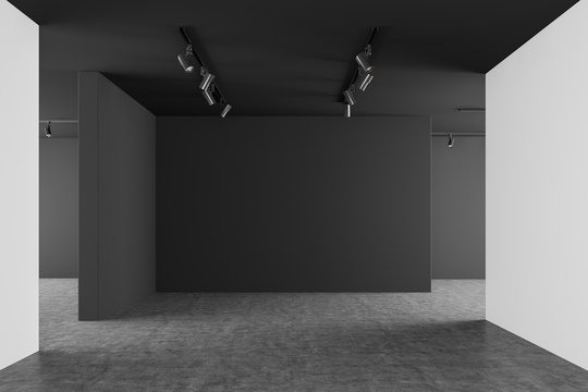 Empty gray and white gallery interior