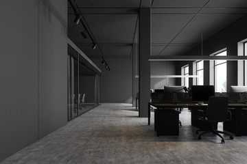 Grey open space office interior