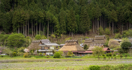 Thatched roof homes in traditional Japanese farming village in mountains