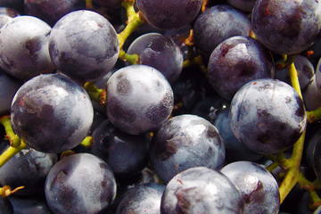 blue grape macro. autumn. close-up