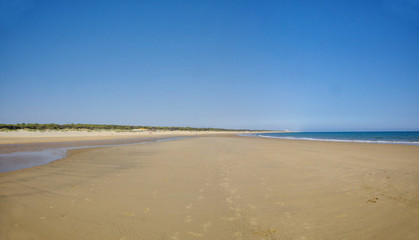 The sandy landscape of Marismas del Odiel National Park in Andalusia, Spain