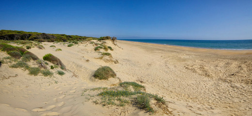 The sandy landscape of Marismas del Odiel National Park in Andalusia, Spain