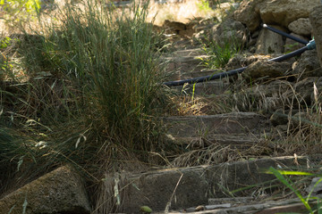 Antique stone stairs and a fence in an abandoned park.