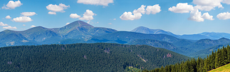 Summer mountain view (Carpathian, Ukraine).