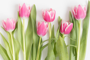 Pink tulips on a white table.