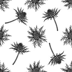 Seamless pattern with black and white blue eryngo