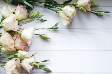 Pink Eustoma flowers on light wooden background. Flat lay, top view