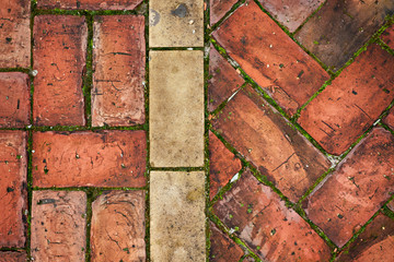 Fishbone and Double flemish bond red brick floor, green moss