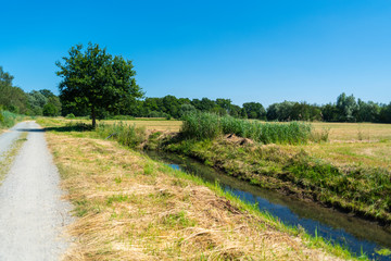 Obraz premium A tour past the Dunger lake