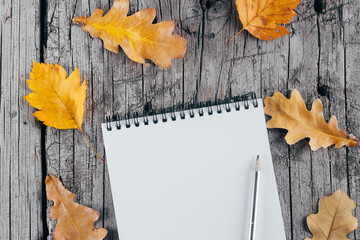 Open notebook and autumn leaves on wooden background. Top view, flat lay, copy space