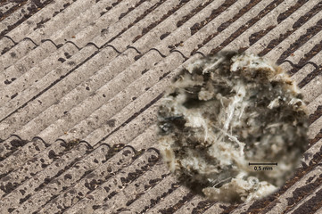 Faserzementplatten mit Asbest und Mikrofoto mit Asbestfasern - Fibre cement panels with asbestos...
