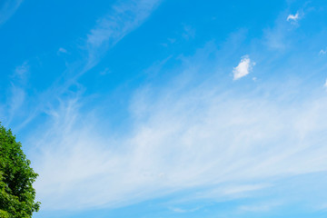 Obraz na płótnie Canvas beautiful white clouds in the blue sky