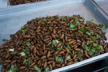 I went to Vietnam for a trip.