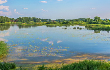  small village on  shore of  lake covered with duckweed