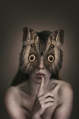 See, hear and speak no evil