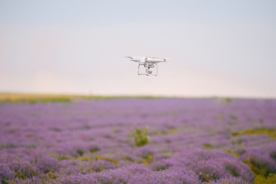 Photo of a drone flying above lavender field.
