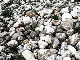 pebbles on the beach