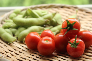 夏野菜の収穫