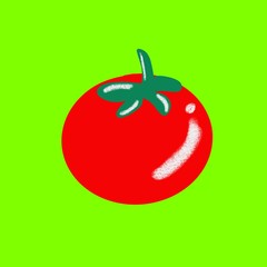illustration of tomato on green background.