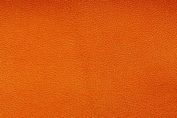 Close up of cowhide texture