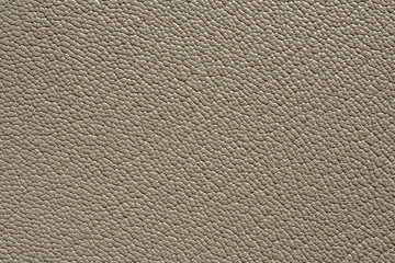 Close up of cowhide texture