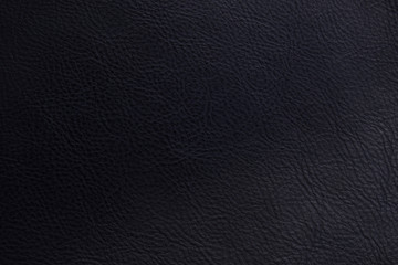 Close up of cowhide texture