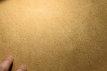 Close up of cowhide texture