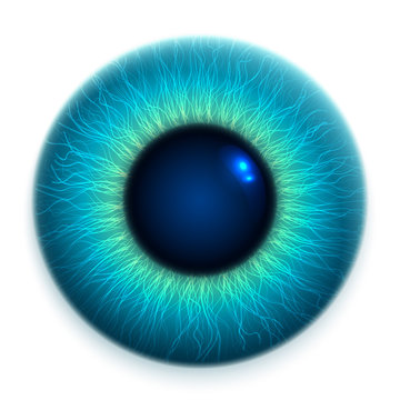 Close-up of human eye, cornea, retina, pupil. Blue 3d iris. Eyeball icon design isolated on white background. Realistic vector illustration