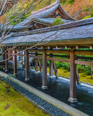 Fototapeta na wymiar Ryoanji Buddhist Temple, Kyoto, Japan