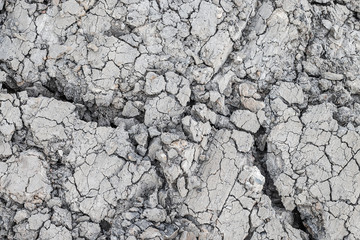 Dried and Cracked ground.