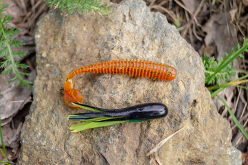 fishing accessories. Baubles and lures lying on a stone with a forest background