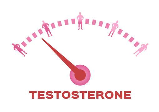 testosterone meter vector