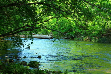 река на рассвете