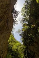 inside mountain gorges in matese park