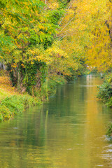 The town of Castelfranco Veneto