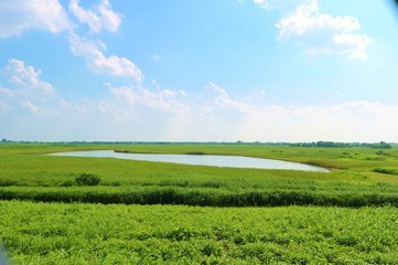 風景　爽やか　渡良瀬　空　湖　道　杤木